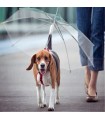 Parapluie pour les chiens