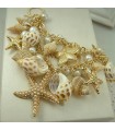 Shell starfish chunky collier naturel