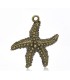 Collier bronze étoile de mer