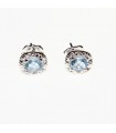 Aquamarine stone earrings