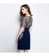 Embroidery blue dress