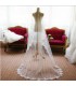 Long wedding veil with lace